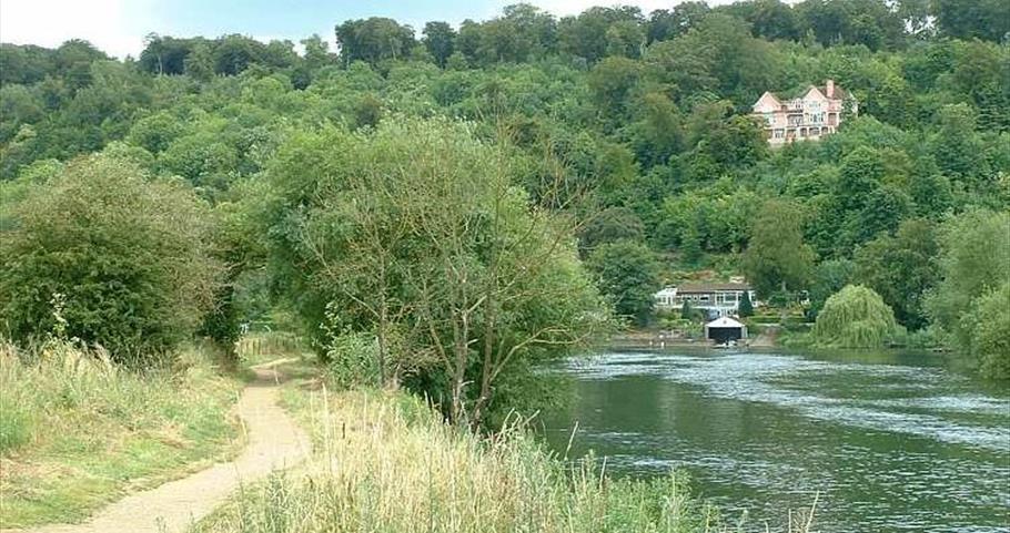 Walks For All On The River Thames Visit Thames